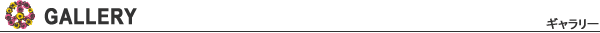 gallery_title
